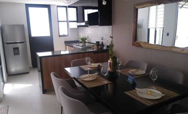 vic Viñedos San Marcos