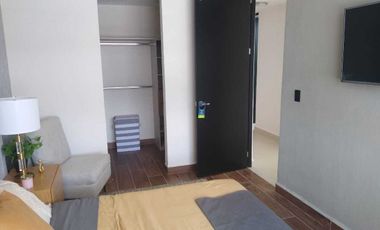 vic Viñedos San Marcos