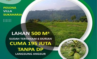 Tanah Kavling Produktif Luas dan Murah di BOGOR Timur