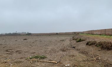 TERRENO DE 45,000 M2 KM 84 PANAMERICANA NORTE VENDO