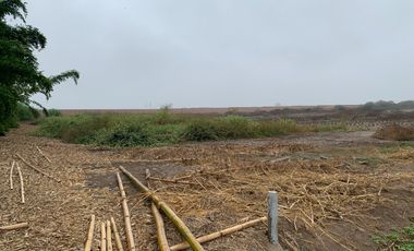 TERRENO DE 45,000 M2 KM 84 PANAMERICANA NORTE VENDO