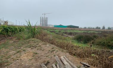 TERRENO DE 45,000 M2 KM 84 PANAMERICANA NORTE VENDO