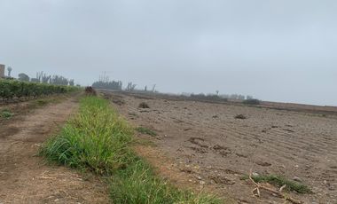 TERRENO DE 45,000 M2 KM 84 PANAMERICANA NORTE VENDO