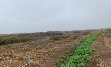 TERRENO DE 45,000 M2 KM 84 PANAMERICANA NORTE VENDO
