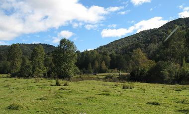 PARCELA EN PURRANQUE CON ESTERO