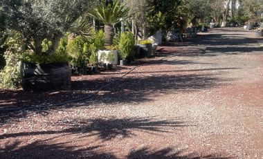 TERRENO EN RENTA EN PACHUCA, HIDALGO