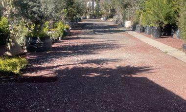 TERRENO EN RENTA EN PACHUCA, HIDALGO