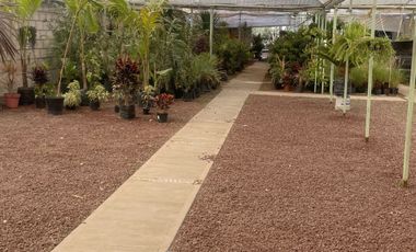 TERRENO EN RENTA EN PACHUCA, HIDALGO