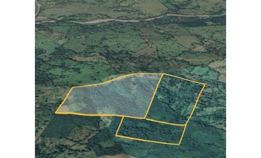 VENDO FINCA DE 67 HECTAREAS EN REMEDIOS