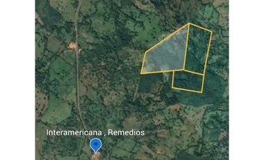 VENDO FINCA DE 67 HECTAREAS EN REMEDIOS