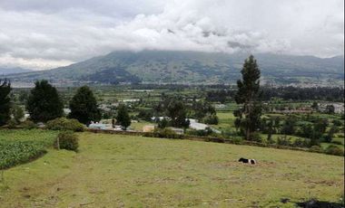Venta de terreno en Otavalo sector González Suarez, 5497 m2