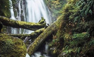 PARQUE DE CONSERVACIÓN HABITABLE único con bosques milenarios y cascadas