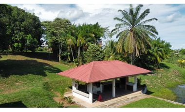 Casa de campo en Venta - Yurimaguas