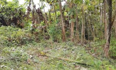 land for sale suitable for warehouses on the roadside of Denpasar Gilimanuk