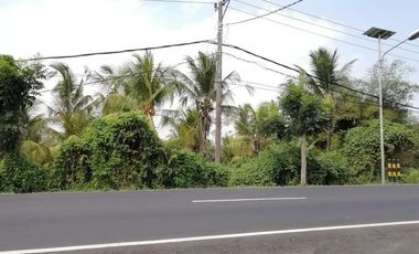 land for sale suitable for warehouses on the roadside of Denpasar Gilimanuk