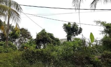 land for sale suitable for warehouses on the roadside of Denpasar Gilimanuk