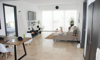 SE ALQUILA APARTAMENTO SOLO LINEA BLANCA PUNTA PACIFICA