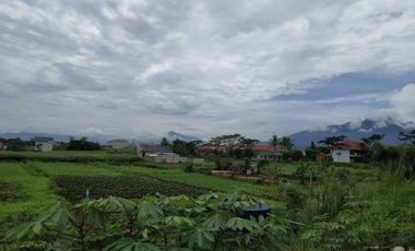 Rumah Rasa Villa Suasana Pedesaan DP 20 JT Bogor