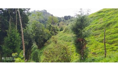 VENTA DE LOTE EN LA ESTRELLA. ANTIOQUIA