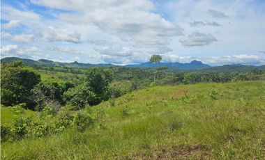 Finca de 60 hectáreas en venta en Capira (DR)