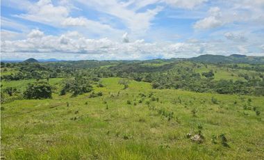 Finca de 60 hectáreas en venta en Capira (DR)