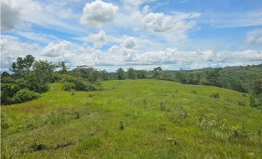 Finca de 60 hectáreas en venta en Capira (DR)
