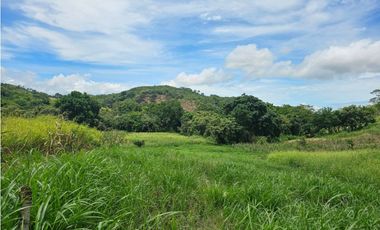 Finca de 60 hectáreas en venta en Capira (DR)