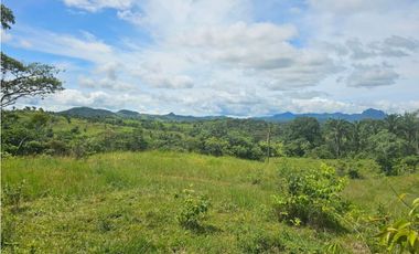 Finca de 60 hectáreas en venta en Capira (DR)
