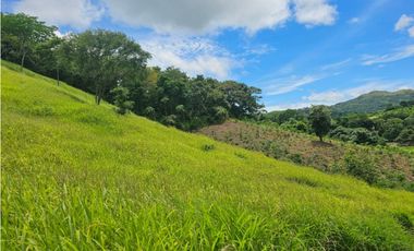 Finca de 60 hectáreas en venta en Capira (DR)