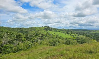 Finca de 60 hectáreas en venta en Capira (DR)