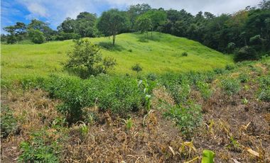 Finca de 60 hectáreas en venta en Capira (DR)