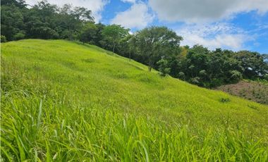 Finca de 60 hectáreas en venta en Capira (DR)