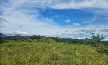 Finca de 60 hectáreas en venta en Capira (DR)