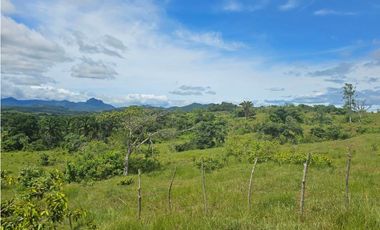 Finca de 60 hectáreas en venta en Capira (DR)