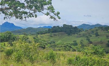Finca de 60 hectáreas en venta en Capira (DR)