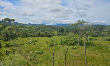Finca de 60 hectáreas en venta en Capira (DR)