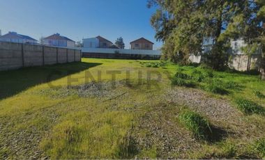 Se arrienda terreno en Buin