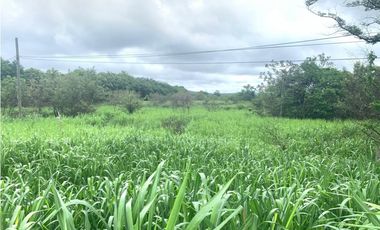 VENDO TERRENO EN PENONOME VIA INTERAMERICANA