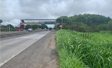 VENDO TERRENO EN PENONOME VIA INTERAMERICANA
