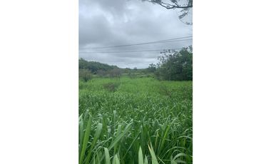 VENDO TERRENO EN PENONOME VIA INTERAMERICANA