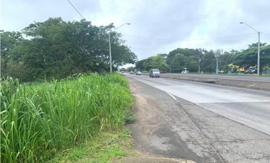 VENDO TERRENO EN PENONOME VIA INTERAMERICANA
