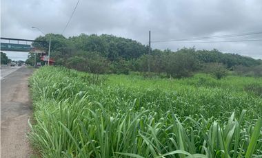 VENDO TERRENO EN PENONOME VIA INTERAMERICANA