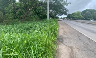 VENDO TERRENO EN PENONOME VIA INTERAMERICANA