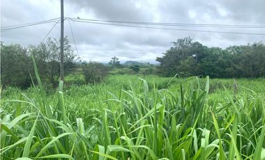 VENDO TERRENO EN PENONOME VIA INTERAMERICANA