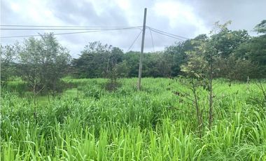 VENDO TERRENO EN PENONOME VIA INTERAMERICANA