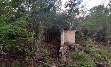 Terreno de 5,000 m2 en Venta, San Diego Cutz, Conkal, Yucatán