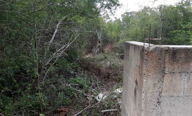 Terreno de 5,000 m2 en Venta, San Diego Cutz, Conkal, Yucatán