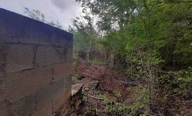 Terreno de 5,000 m2 en Venta, San Diego Cutz, Conkal, Yucatán