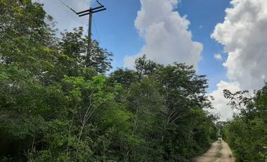 Terreno de 5,000 m2 en Venta, San Diego Cutz, Conkal, Yucatán