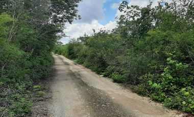 Terreno de 5,000 m2 en Venta, San Diego Cutz, Conkal, Yucatán